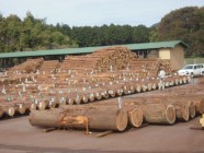 栃木県森林組合連合会　木材流通課