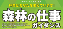 11/27森林の仕事ガイダンス開催