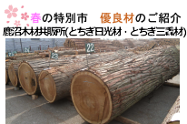 令和4年 春の特別市開催